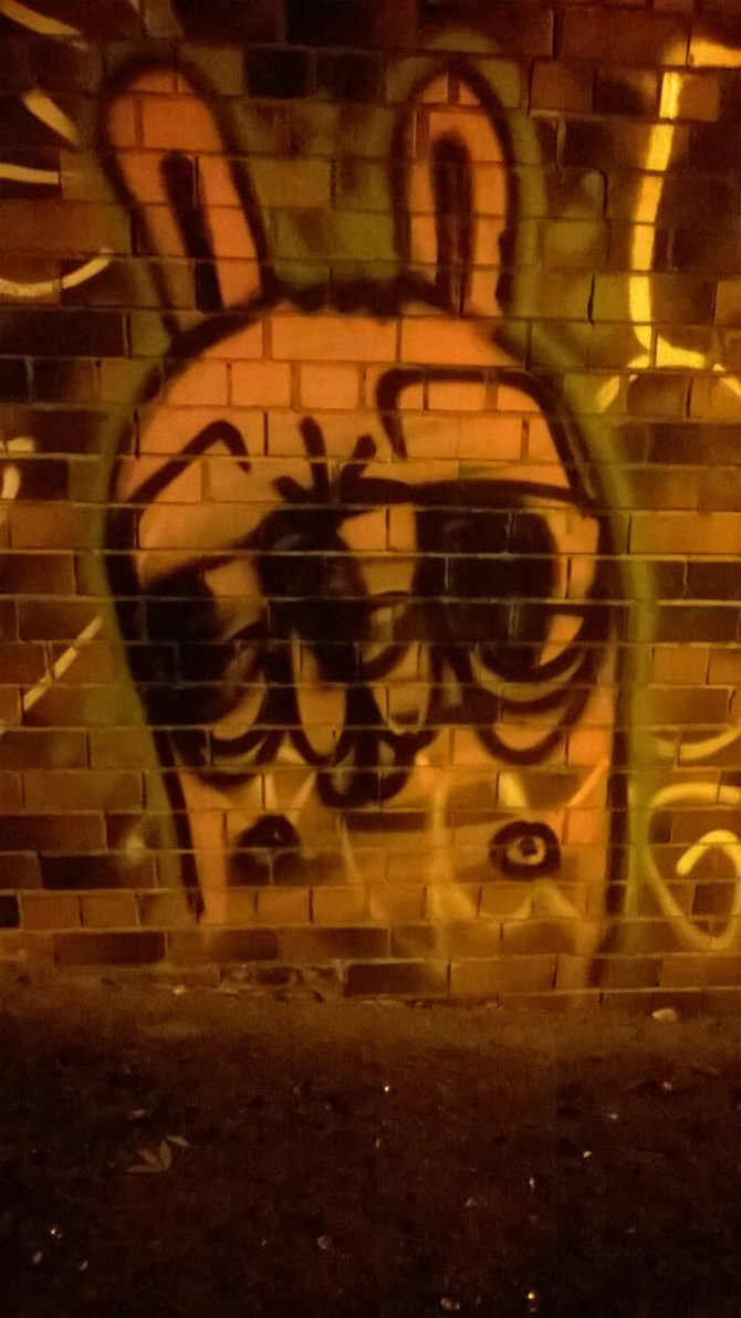 wp_20161105_20_36_57_pro