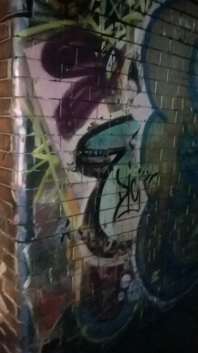 wp_20161105_20_40_44_pro