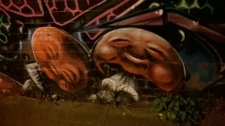 wp_20161105_20_51_44_pro