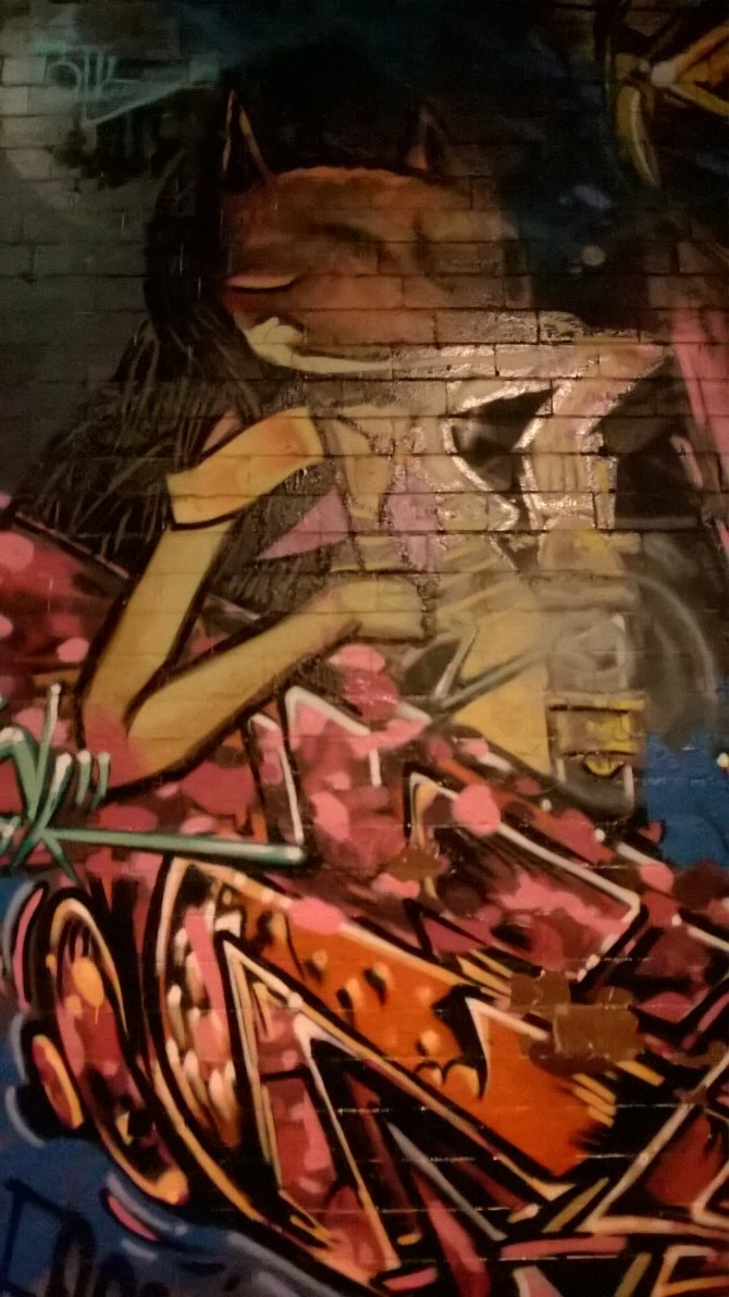 wp_20161105_20_51_58_pro