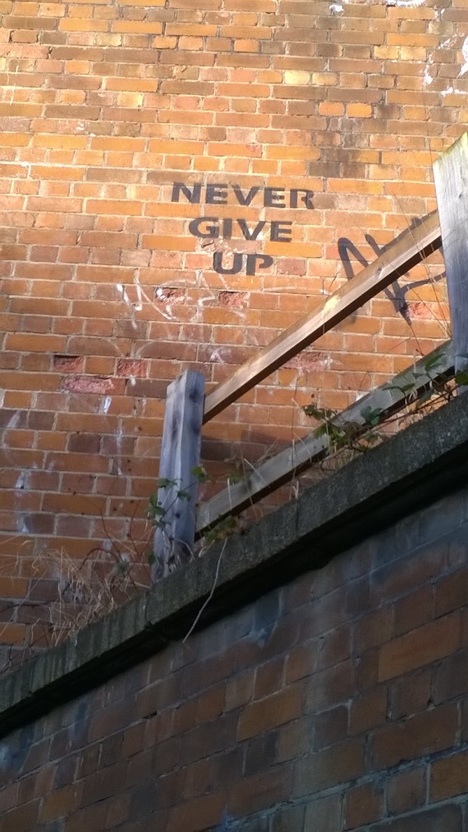 wp_20161120_12_43_02_pro