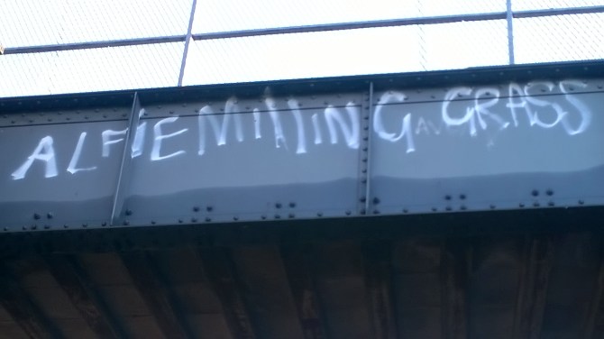 wp_20161120_12_43_19_pro