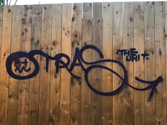 1d393779-d94a-44c5-992a-ef377fc228df