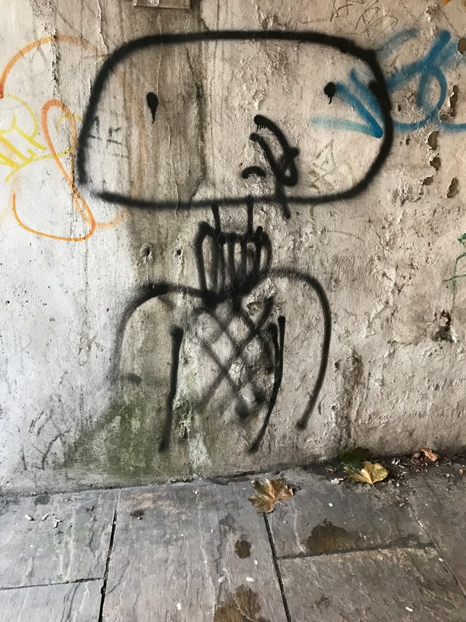 20161203_110804784_ios