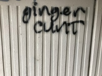 20161203_132219708_ios