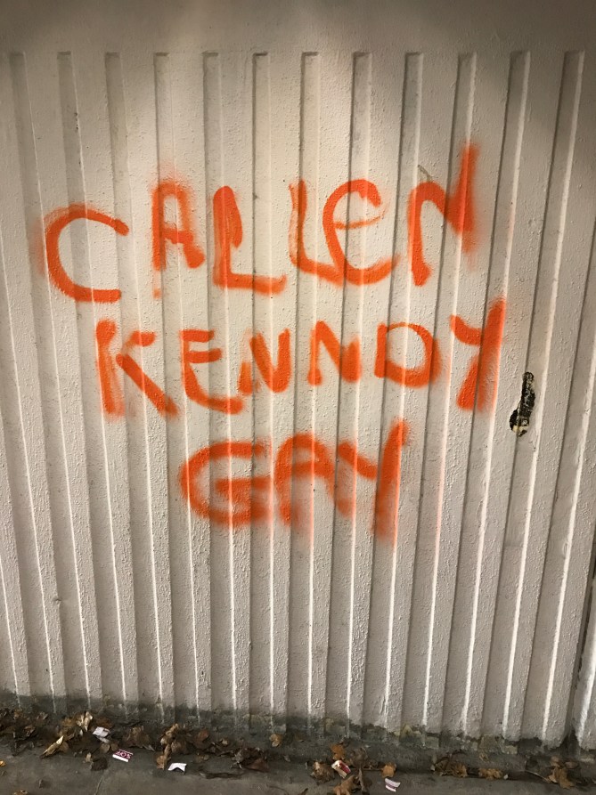 20161203_132310024_ios