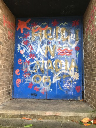 20161203_132922220_ios