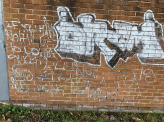 20161203_134325498_ios