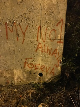 20170110_201705479_ios