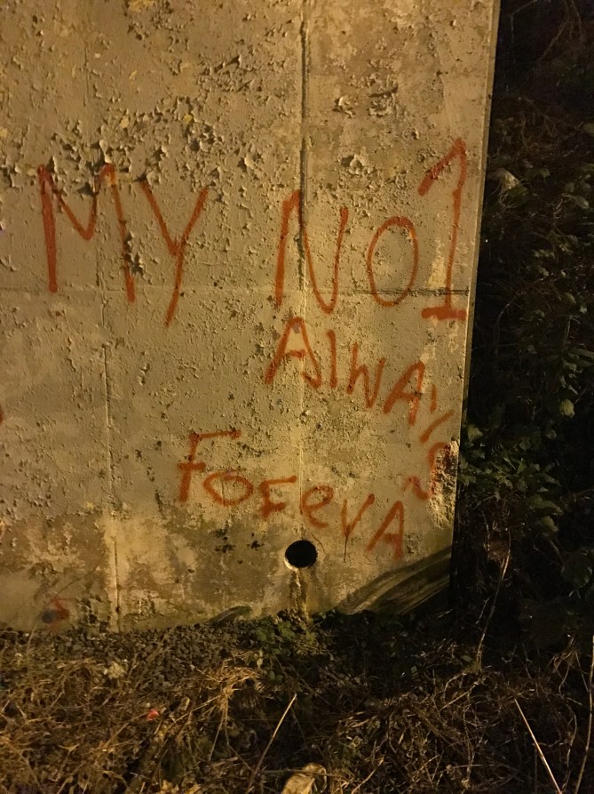 20170110_201705479_ios