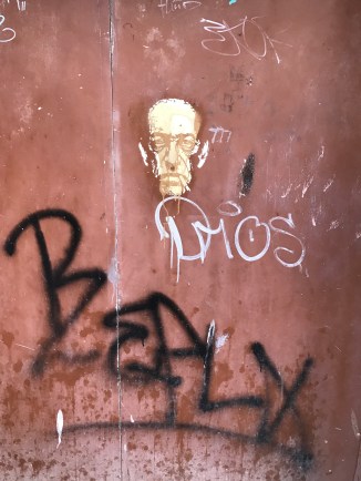 20170115_130619993_ios