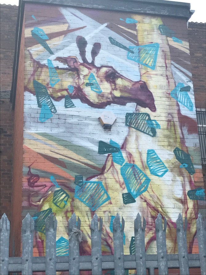 20170115_134231886_ios