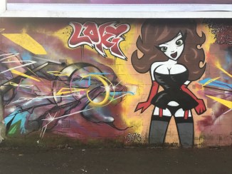 20170115_134729604_ios