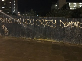 20170128_224952480_ios