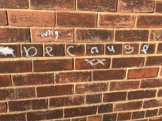 20170129_113430217_ios