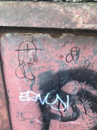 20170129_113854639_ios