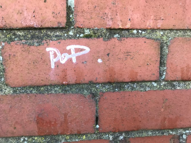 20170129_113935291_ios