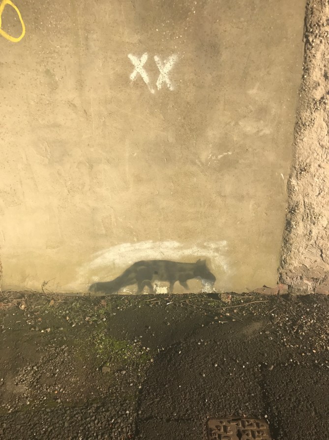 20170129_120127583_ios