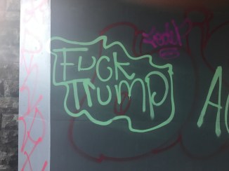 20170129_124529742_ios