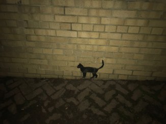 6e6aecc1-57de-4939-9310-350171f5fe32