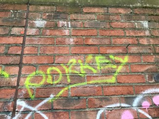 20170224_153556576_ios