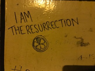 20170225_222334826_ios