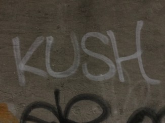 83e74bcf-56b6-4772-94bb-fb1fddd45762