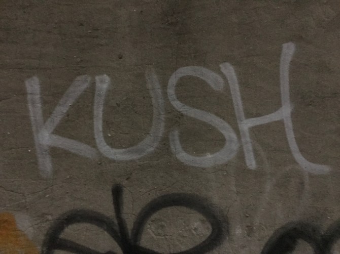 83e74bcf-56b6-4772-94bb-fb1fddd45762