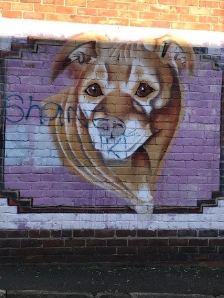 20170305_131512868_iOS