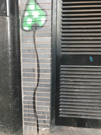 20170314_170652129_iOS