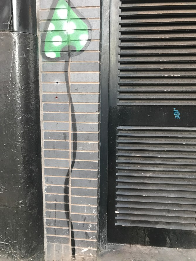 20170314_170652129_iOS