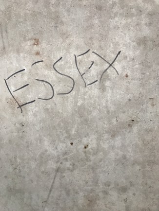 20170314_175221884_iOS