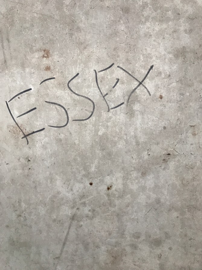 20170314_175221884_iOS