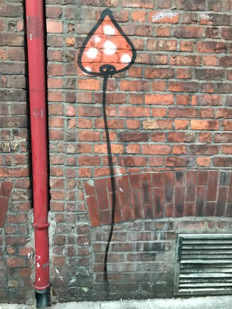 20170314_180701884_iOS