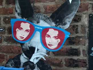 20170314_181820474_iOS