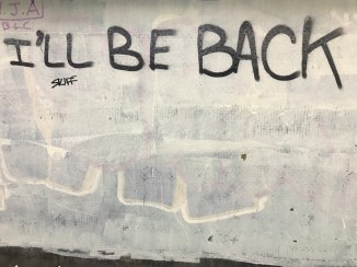 20170318_112659020_iOS