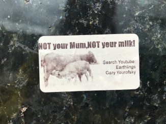 20170318_132308780_iOS