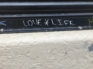 20170318_132849948_iOS