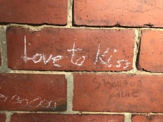 20170319_110904404_iOS