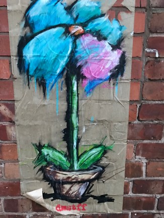 20170314_182027401_iOS