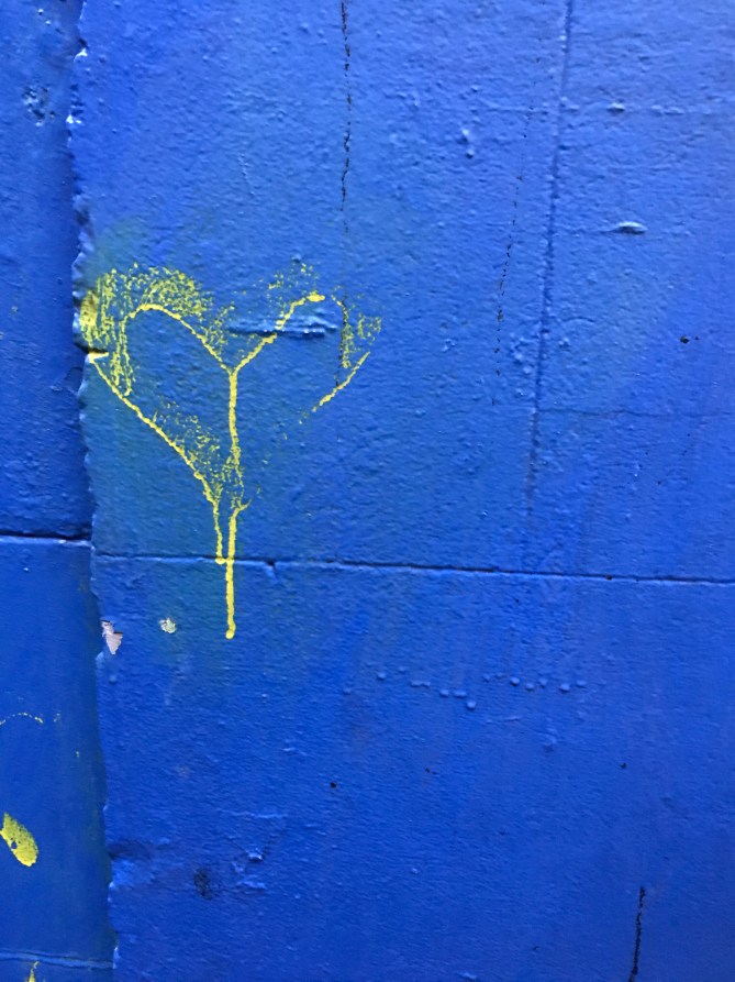 20170416_190958449_iOS