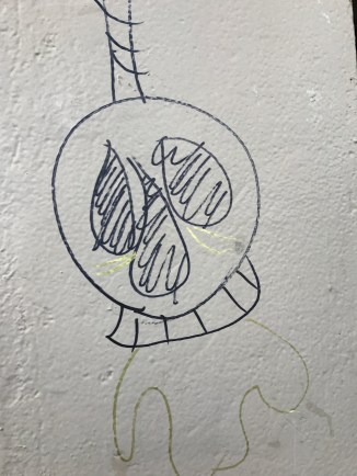 20170422_074255233_iOS