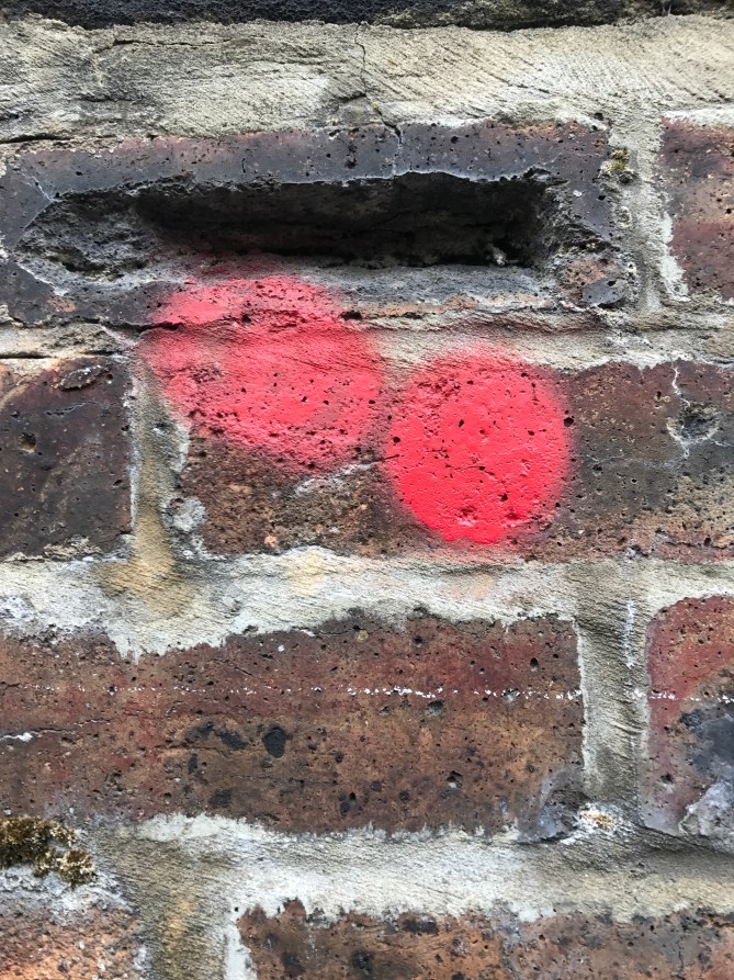 20170422_161421189_iOS