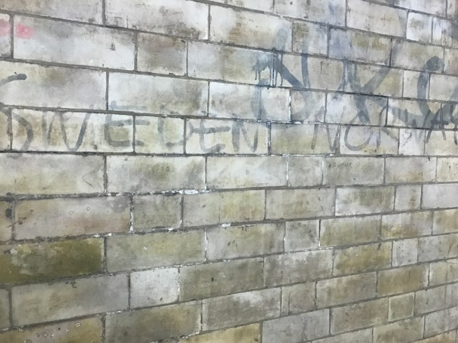 20170428_204409326_iOS