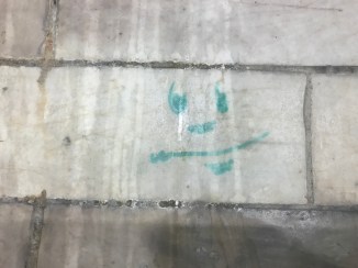 20170428_204455193_iOS