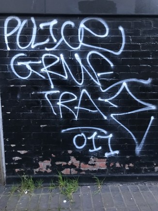 20170503_195128433_iOS