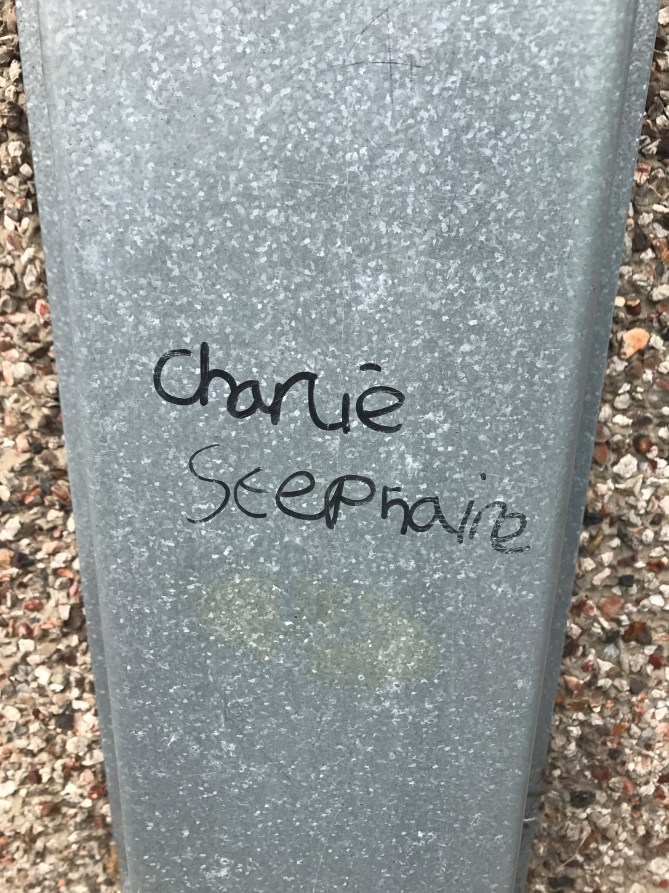 20170506_103239603_iOS