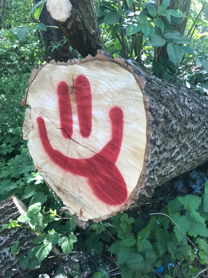 20170509_153653240_iOS