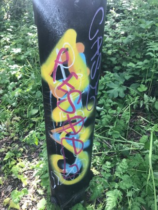 20170509_153732865_iOS