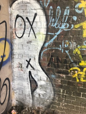 20170509_153957725_iOS